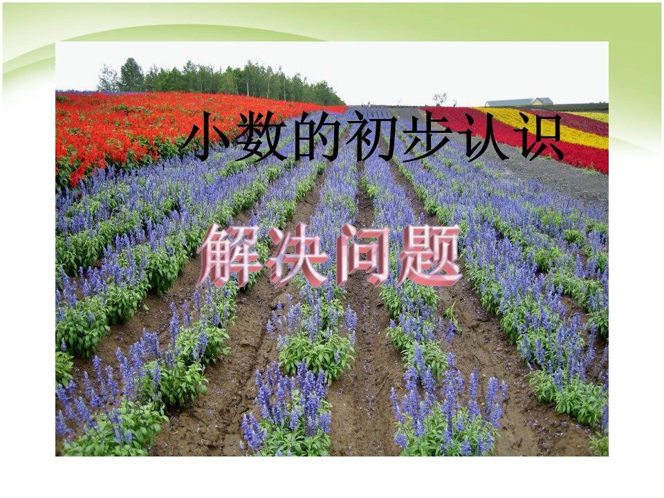 小数的初步认识--解决问题
