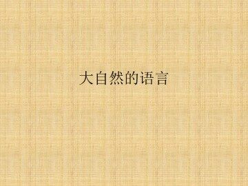 大自然的语言_课件1