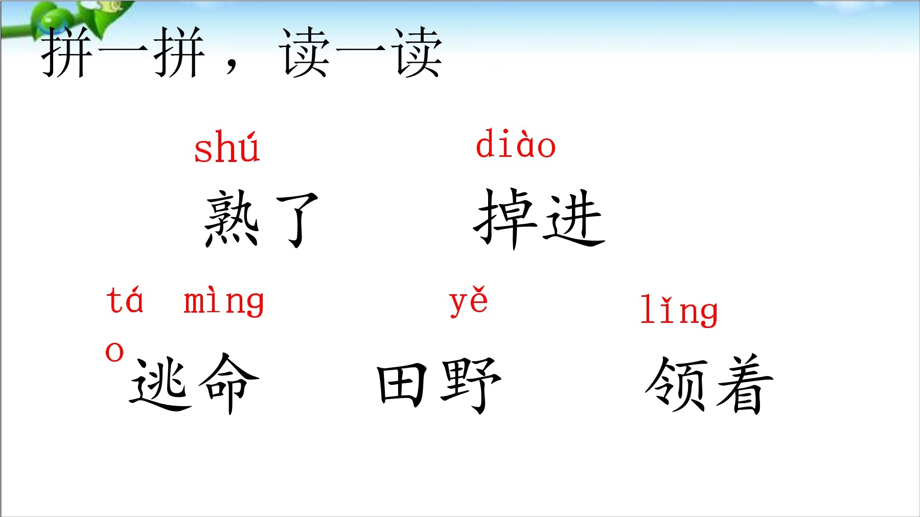 6