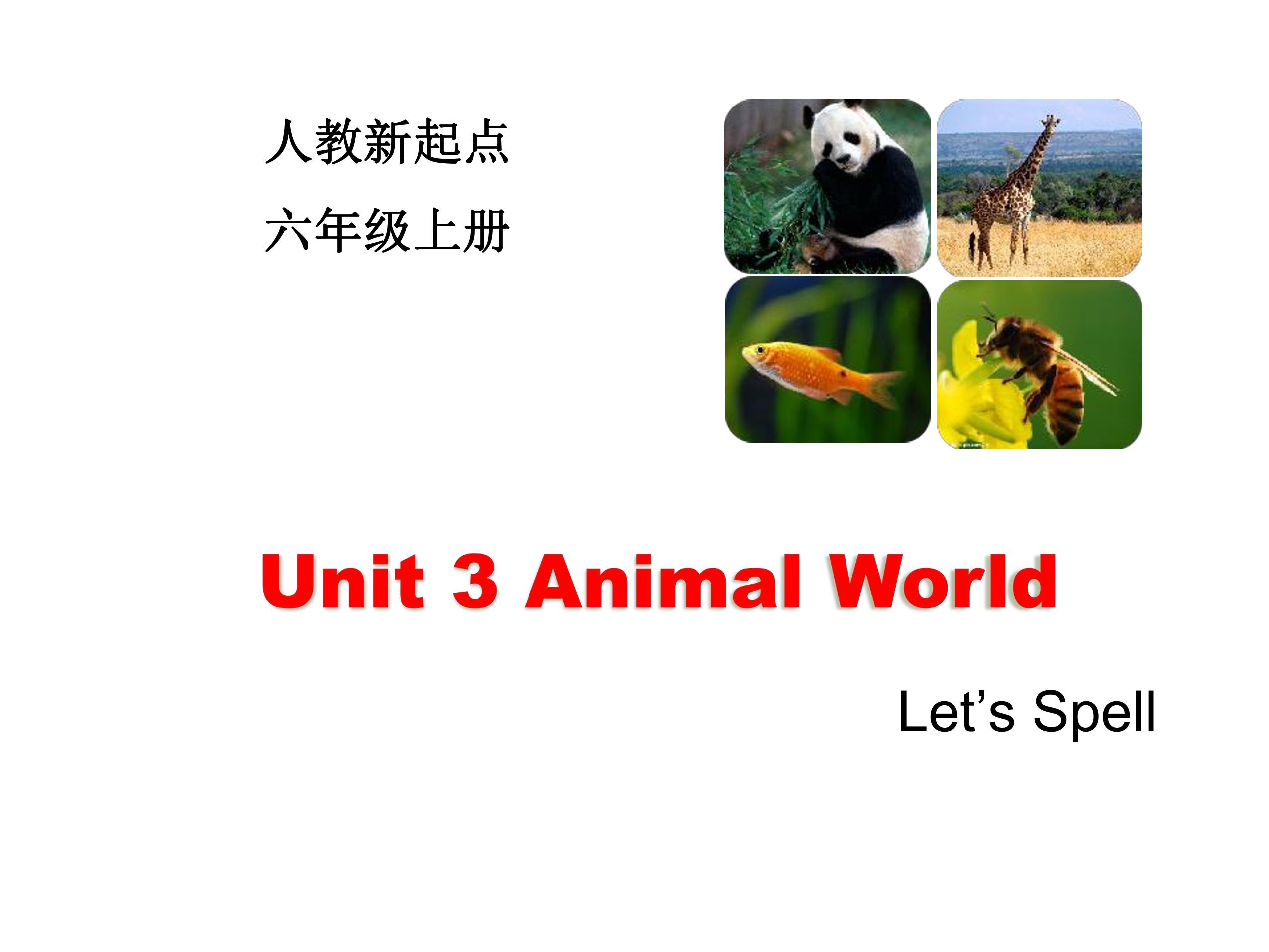 【课件】6年级上册英语人教版新起点Unit 3 Let’s spell 01