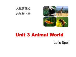 【课件】6年级上册英语人教版新起点Unit 3 Let’s spell 01