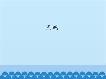 天鹅_课件1