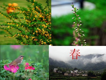 11 春