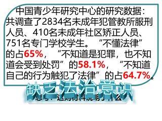 【★★】7年级下册道德与法治部编版课件第四单元 10.2 我们与法律同行