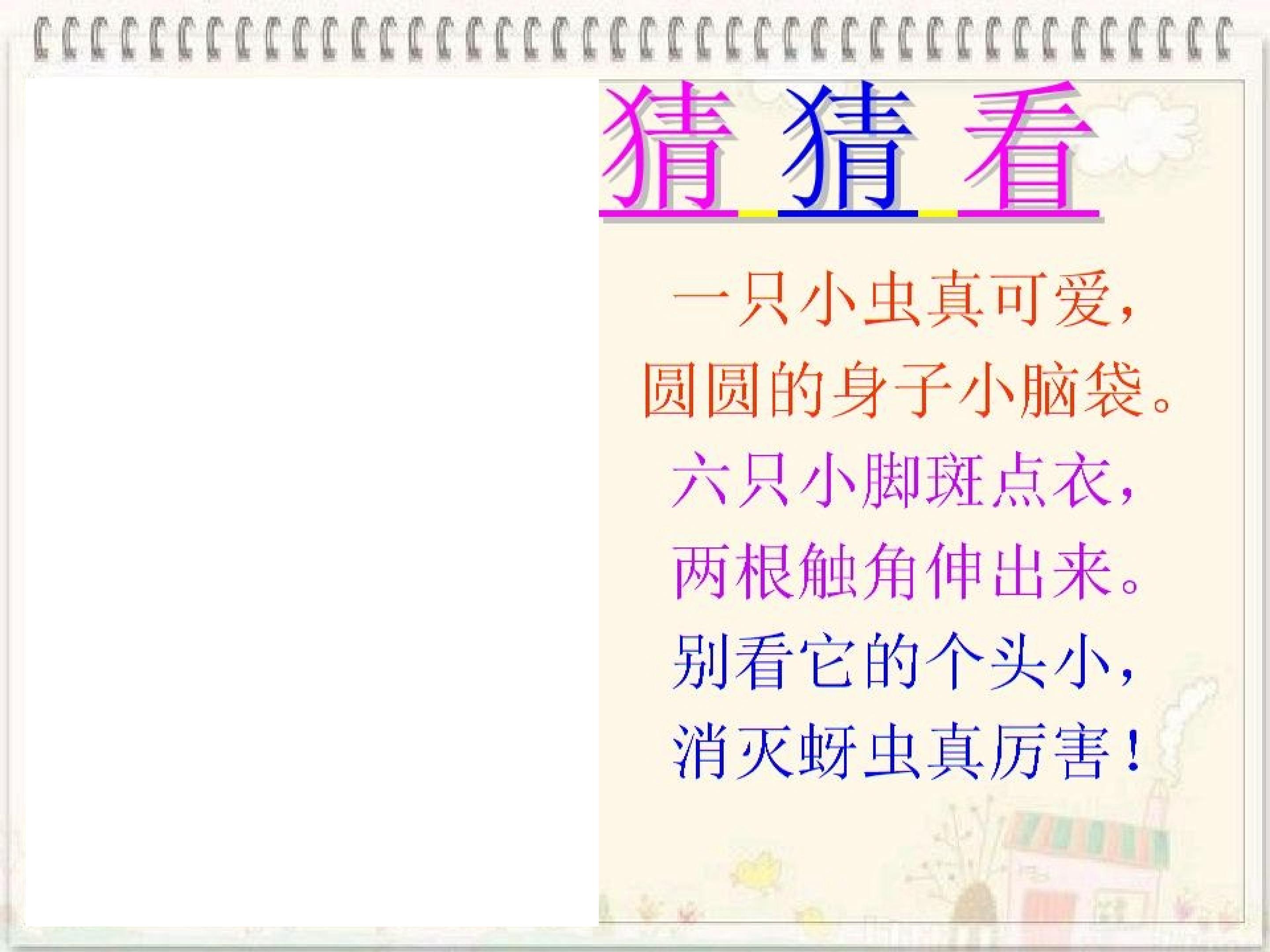 瓢虫的花衣裳