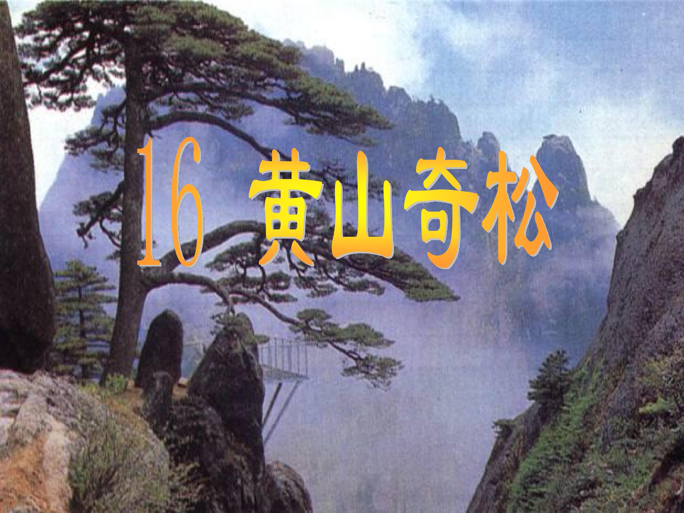 《黄山奇松》