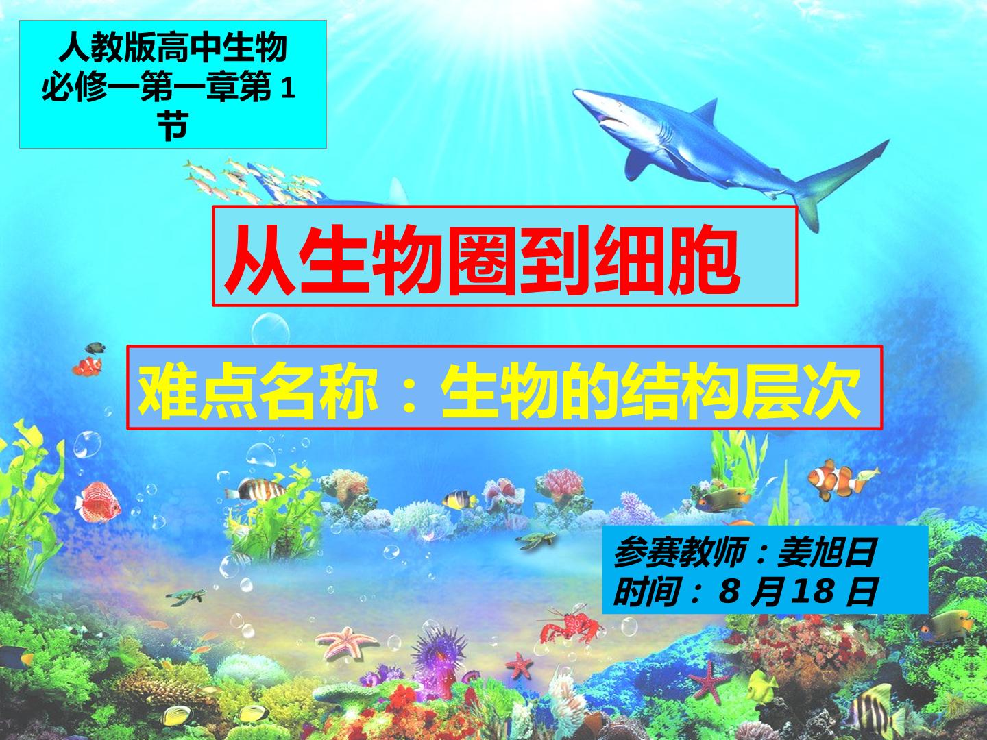 生物的结构层次