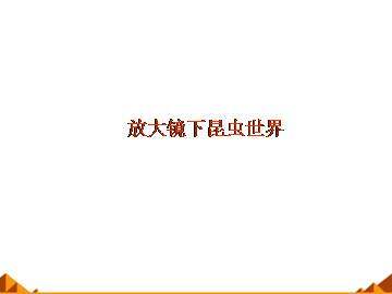 放大镜下的昆虫世界_课件1