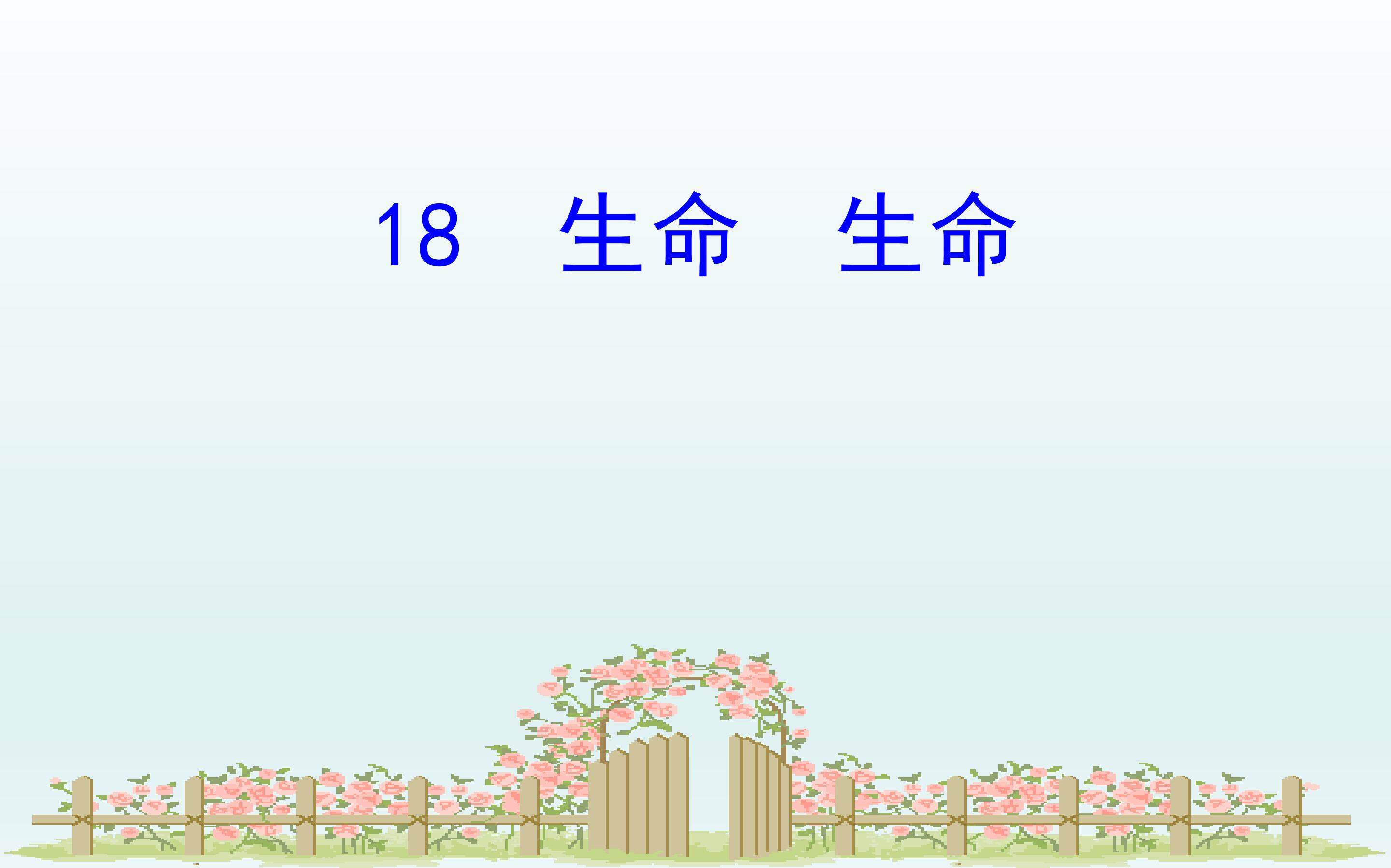 《生命 生命》教学课件
