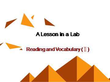 A Lesson in a Lab_课件1