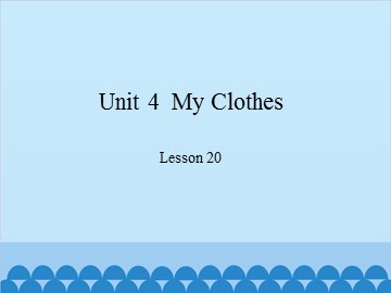 Unit 4  My Clothes Lesson 20_课件1