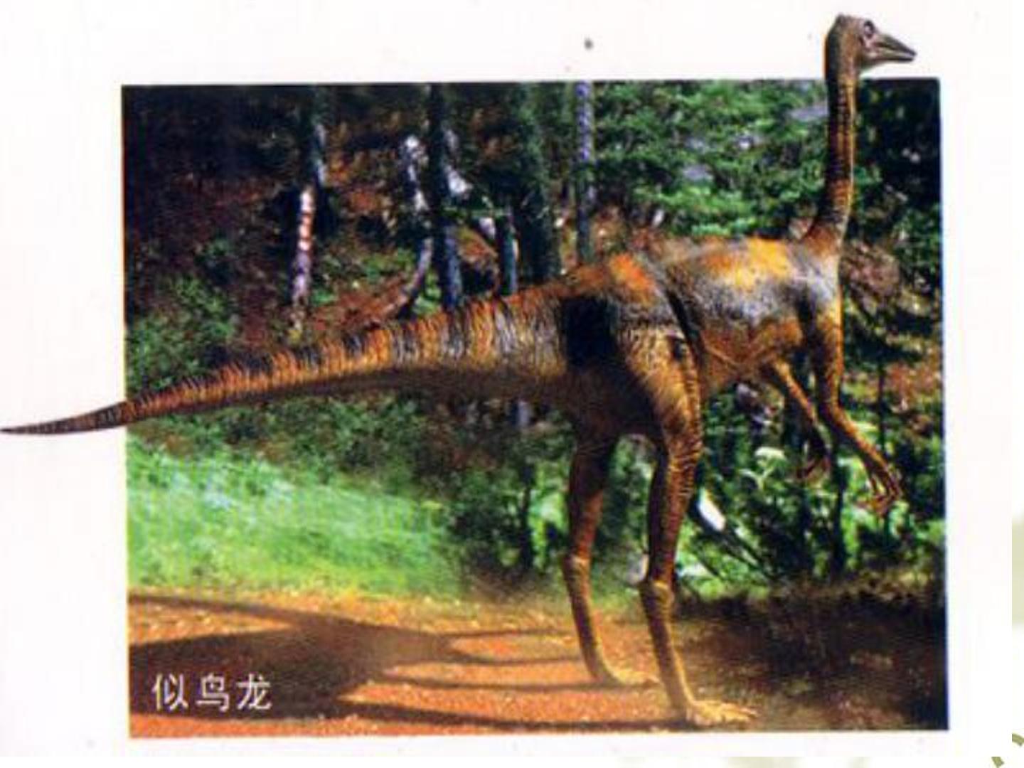 58.jpg