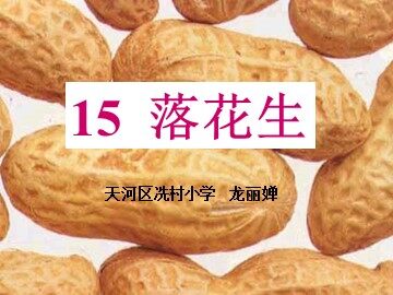 落花生2
