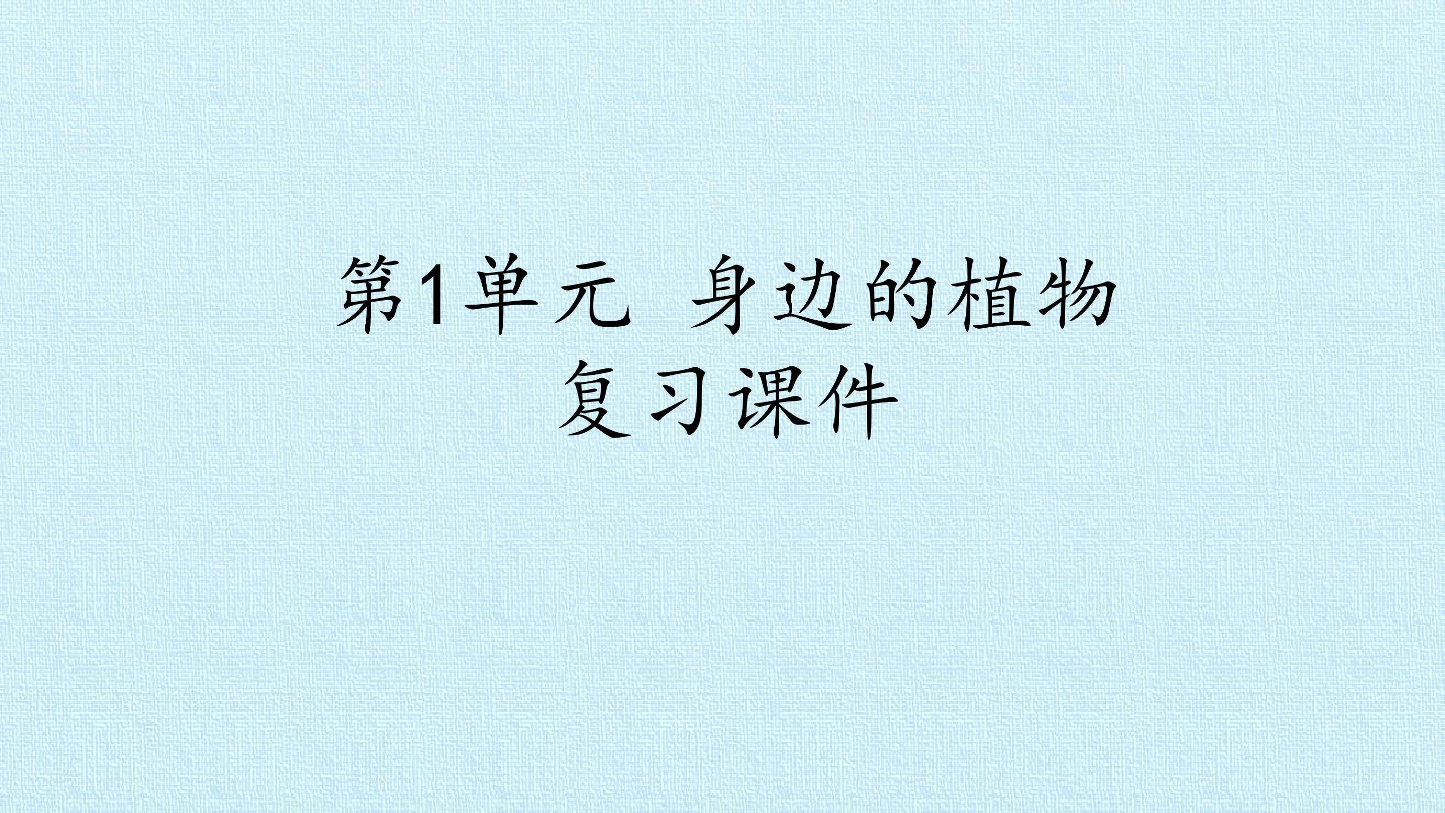 第1单元 身边的植物 复习课件