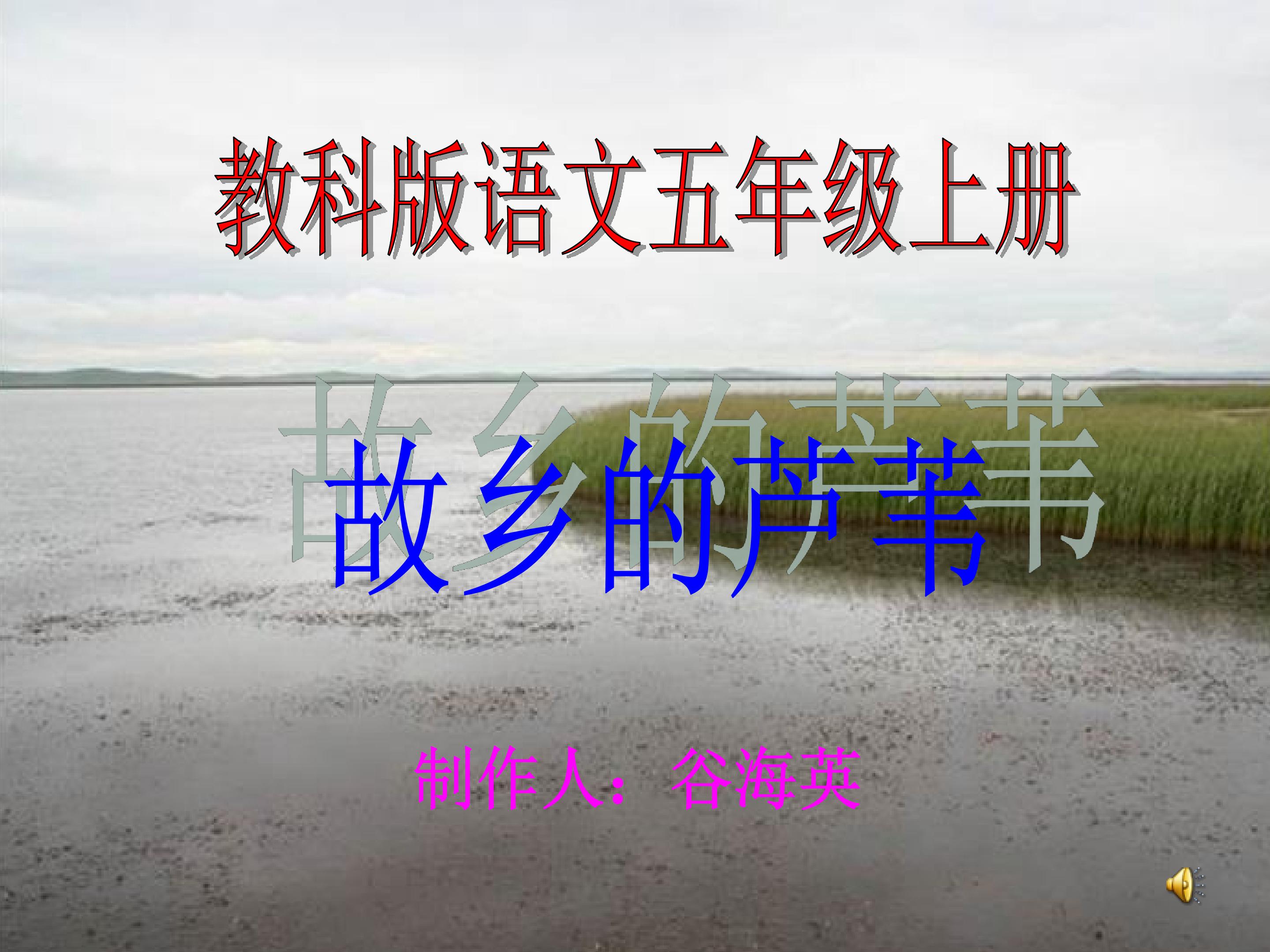 故乡的芦苇