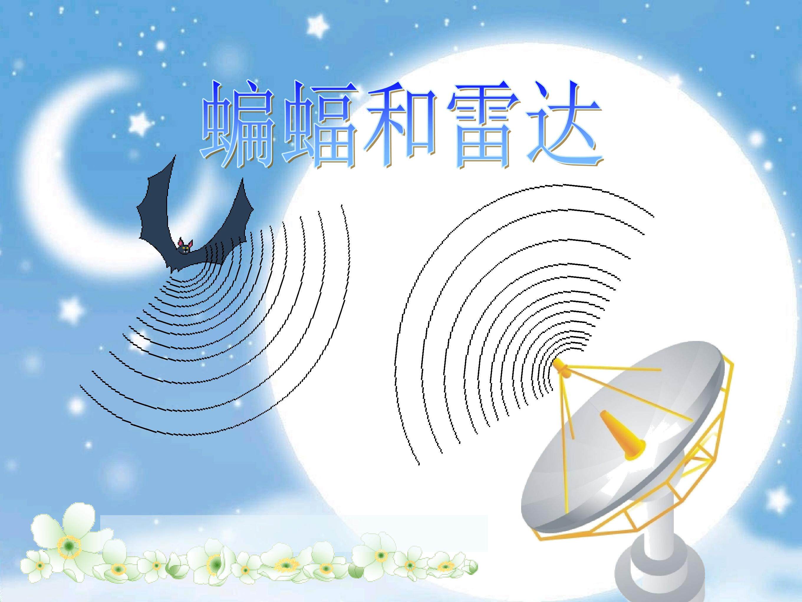 《蝙蝠和雷达》
