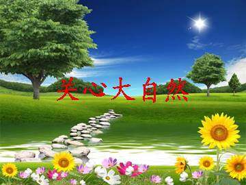 关心大自然_课件1