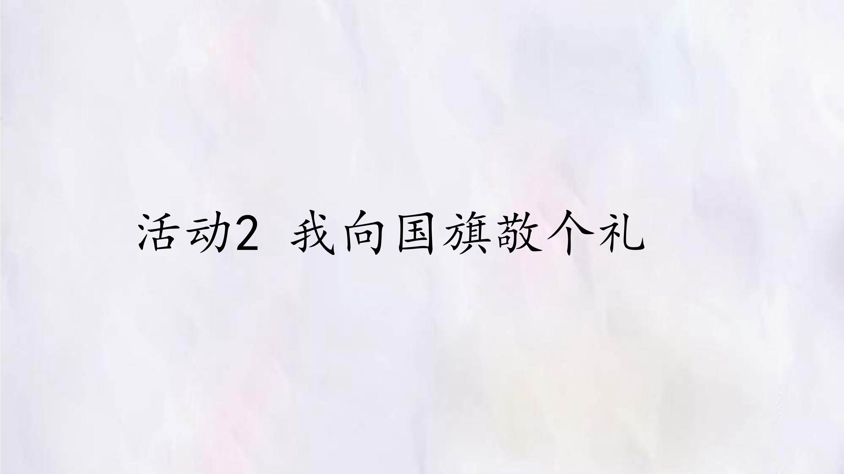活动2  我向国旗敬个礼
