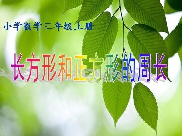 周长