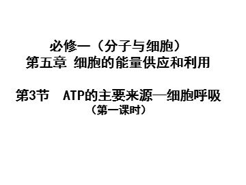 第3节  ATP的主要来源——细胞呼吸