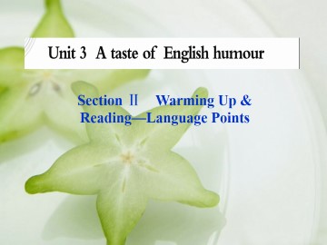 A taste of English humour_课件5