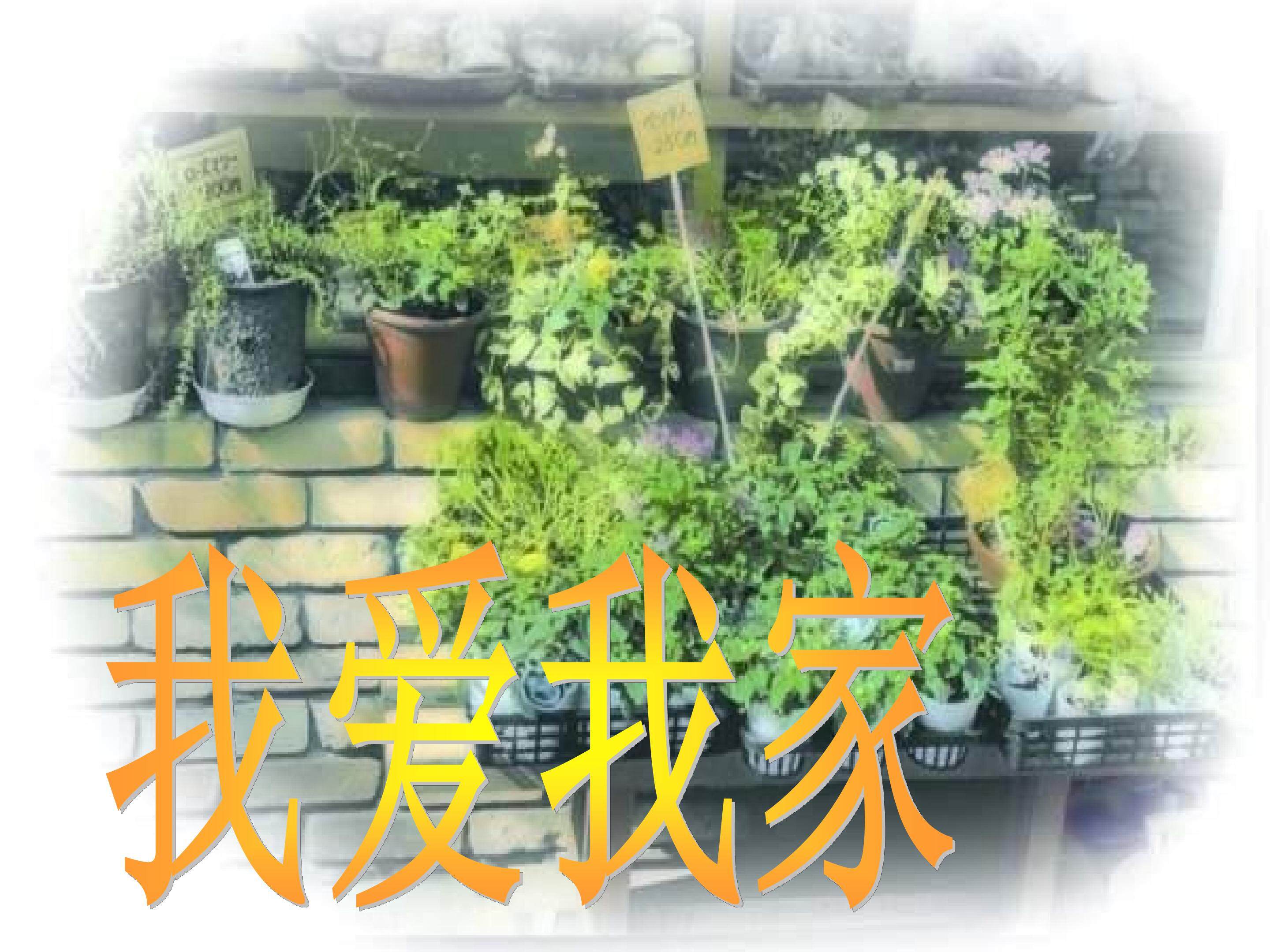 我爱我家