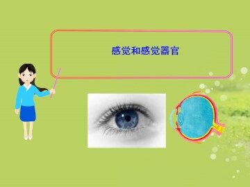 感觉和感觉器官_课件1