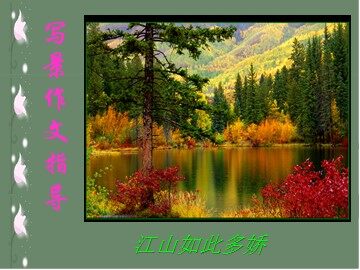 从生活中学习写作