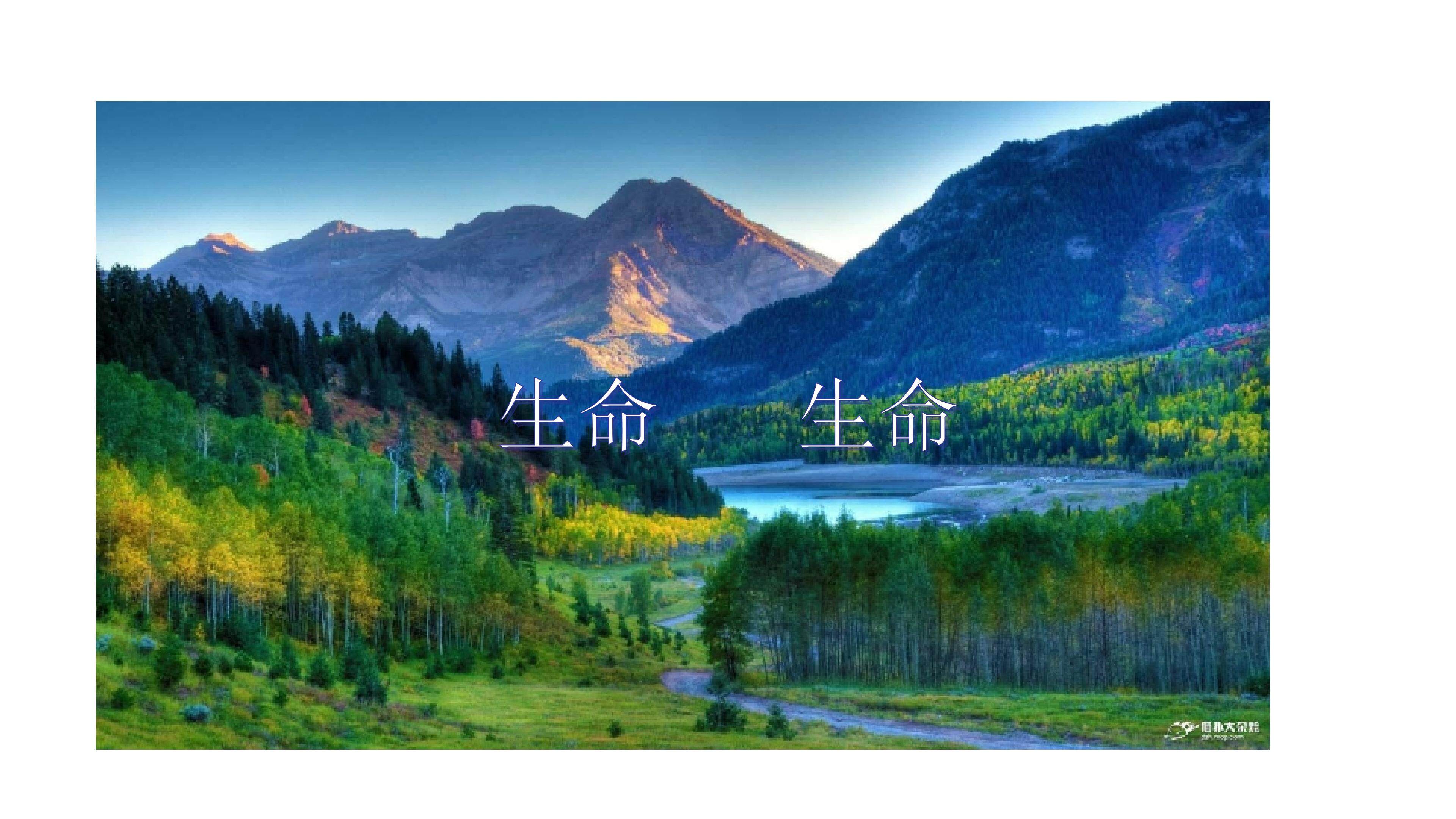 生命 生命