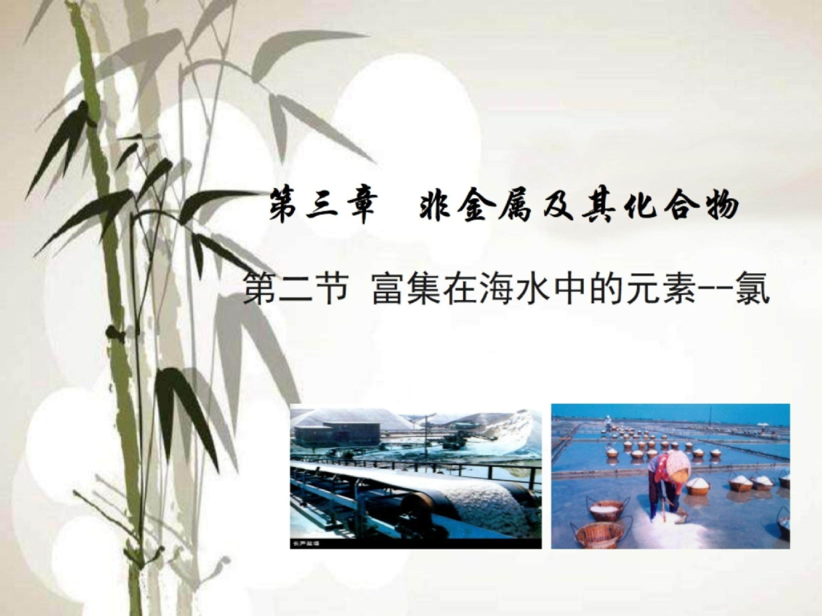 富集在海水中的元素氯