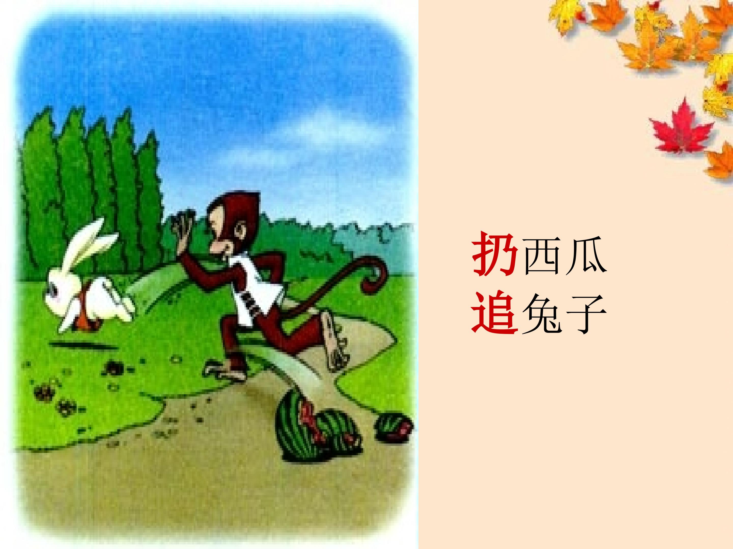 18.jpg
