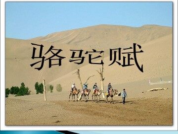 骆驼赋_课件1