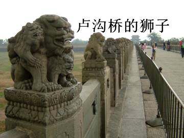 卢沟桥的狮子_课件1
