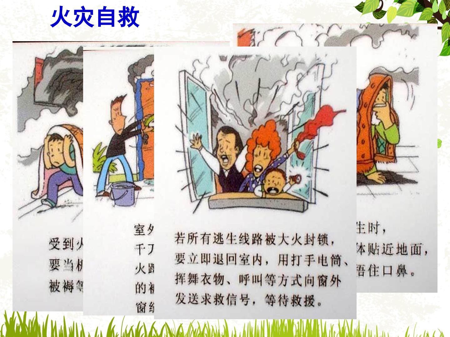 14.jpg