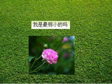 我是最弱小的吗_课件1