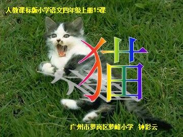 《猫》教学课件