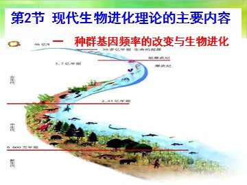 一  种群基因频率的改变与生物进化