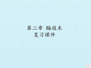 第二章 酶技术 复习课件