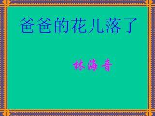 爸爸的花儿落了_课件7