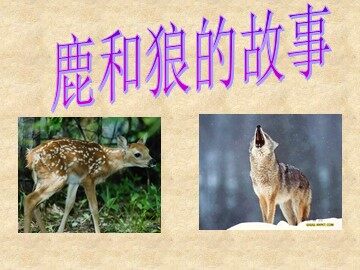 14* 鹿和狼的故事
