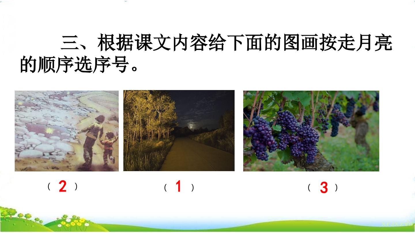 23.jpg