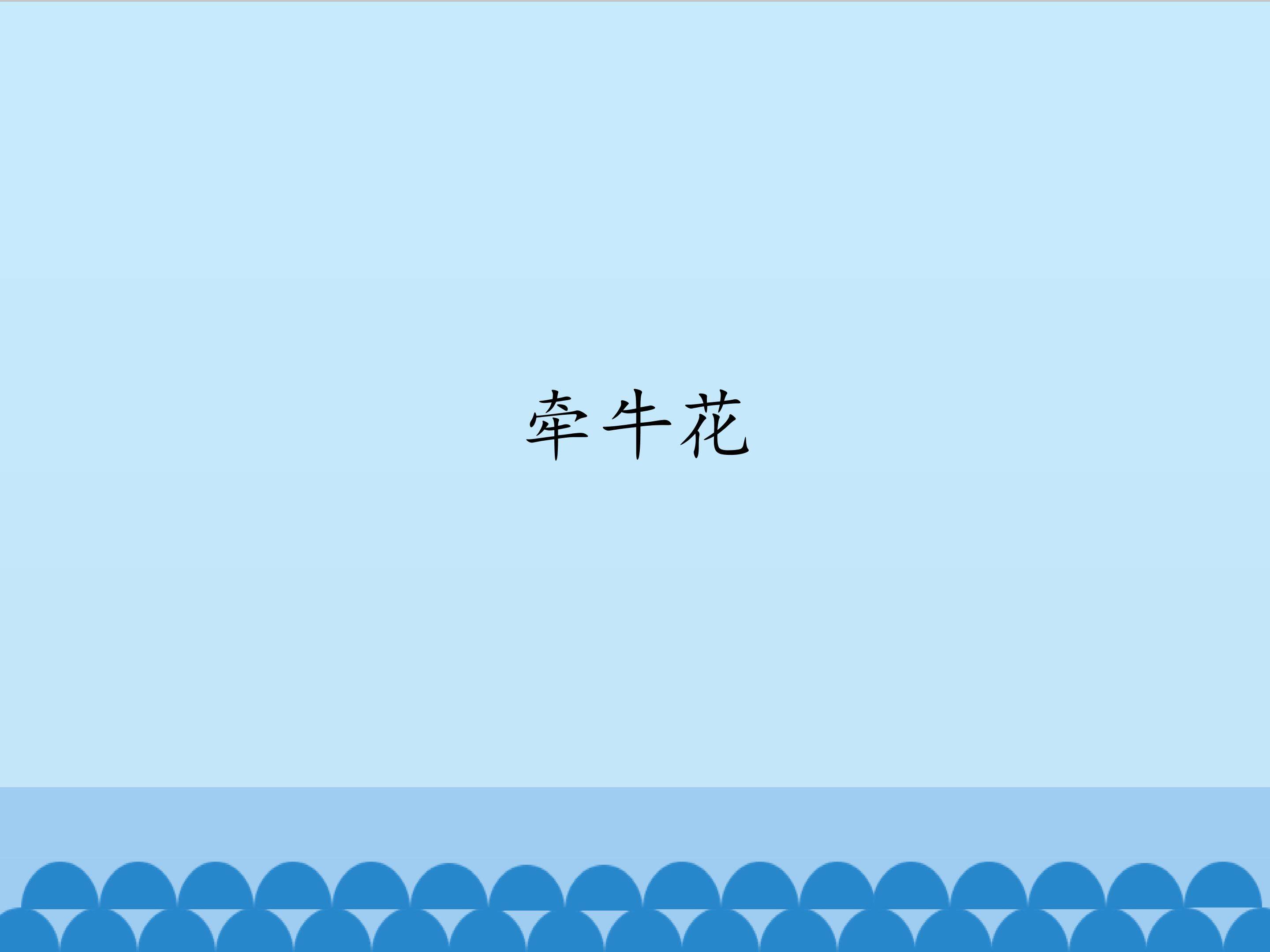 牵牛花_课件1