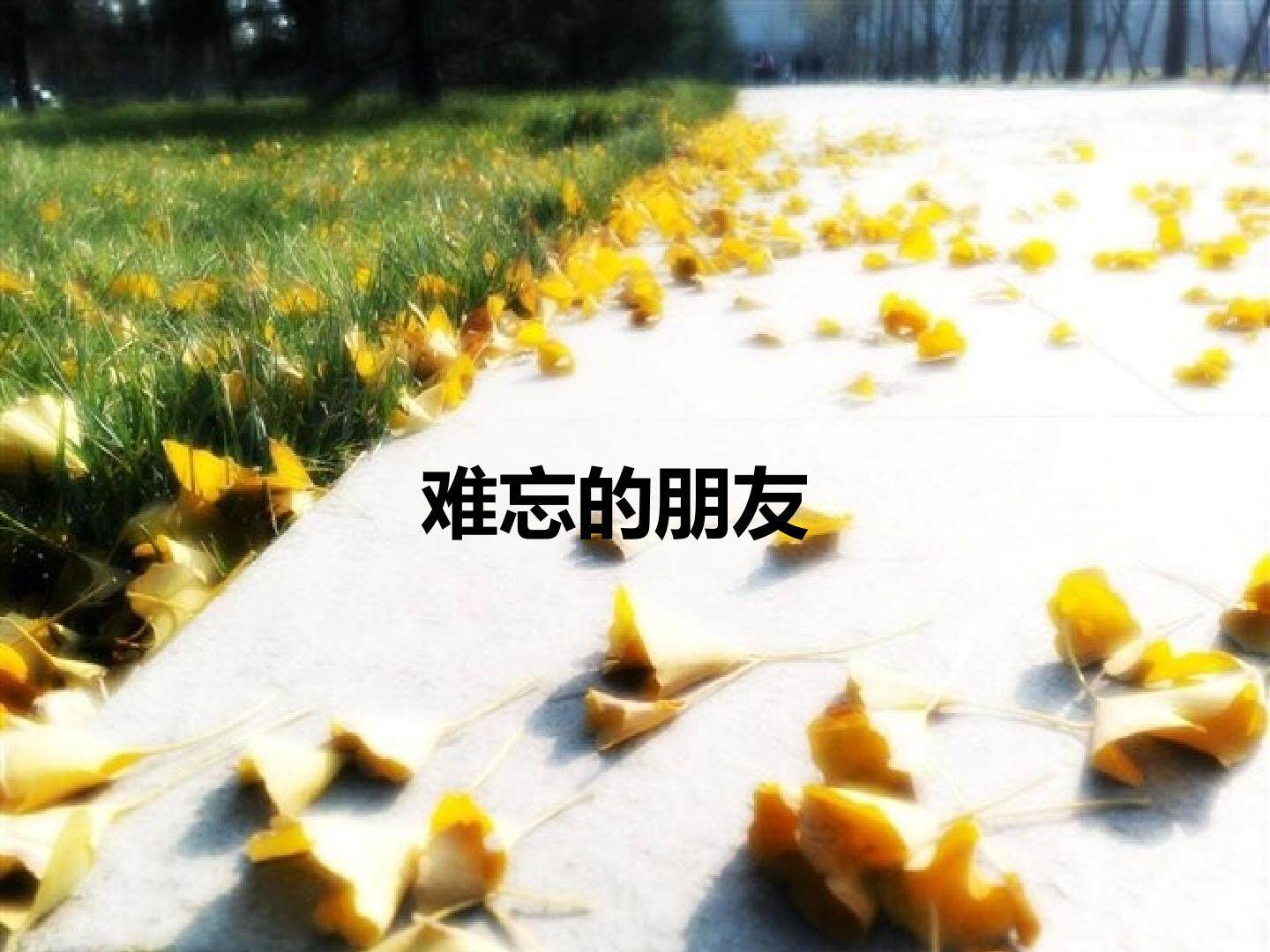 难忘的朋友_课件1