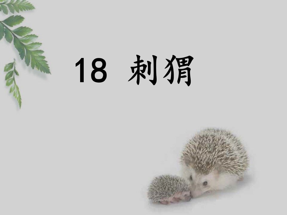 刺猬