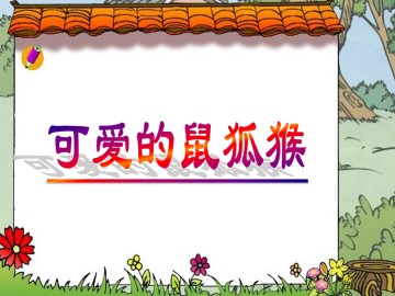 可爱的鼠狐猴_课件1