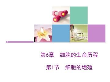 第1节  细胞的增殖