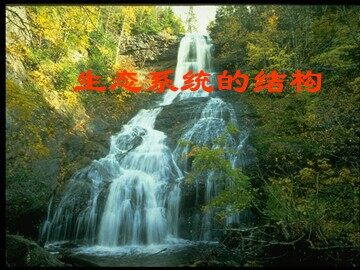 生物高中必修3第五章第一节课件12