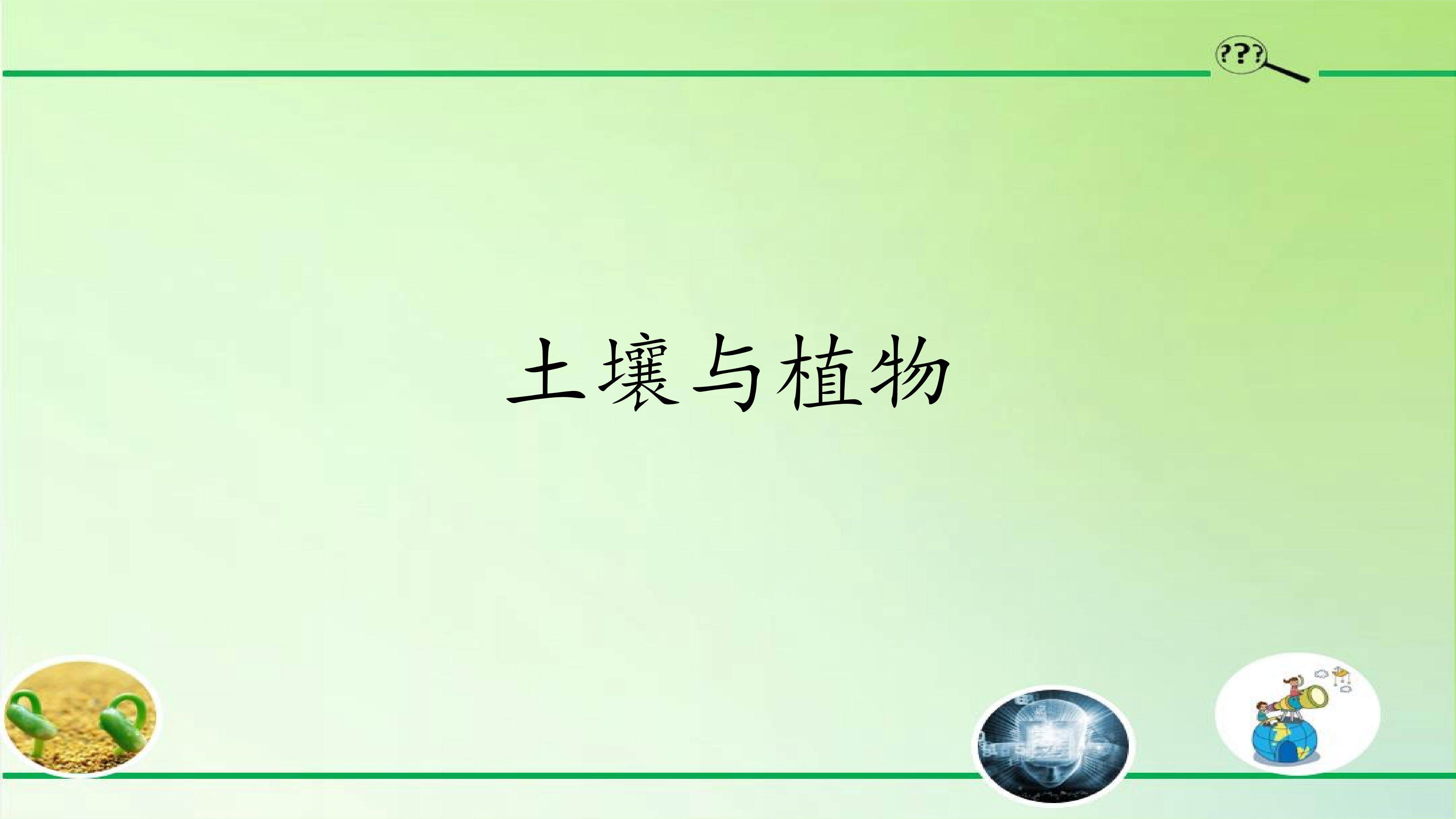 土壤与植物