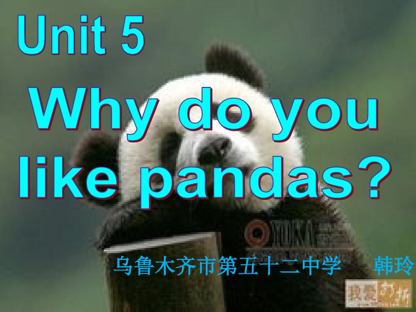 Unit 5 Why do you like pandas?