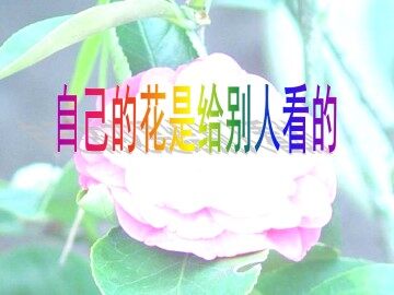 自己的花是让别人看的_课件1
